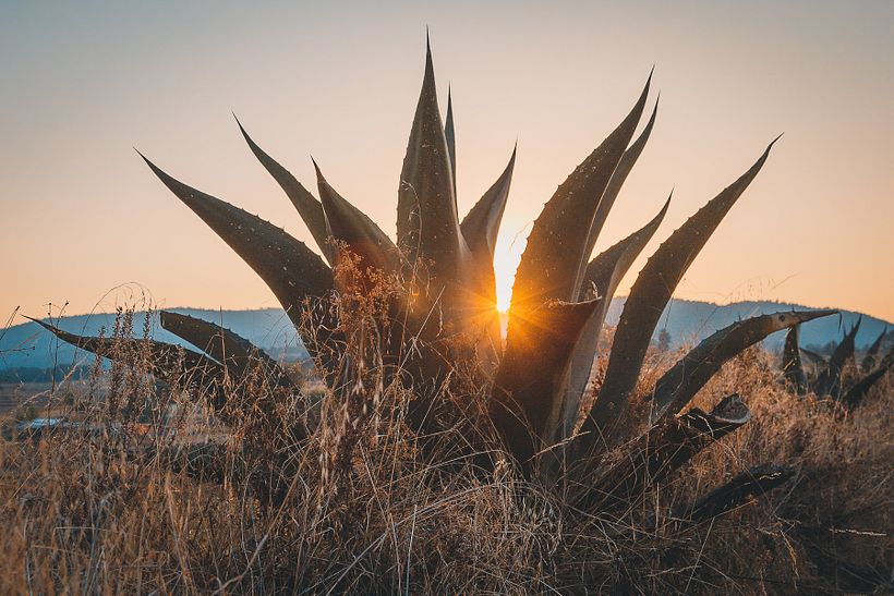 Un vistazo de México. 4