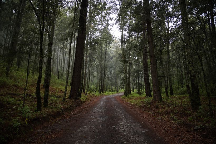 Un vistazo de México. 1