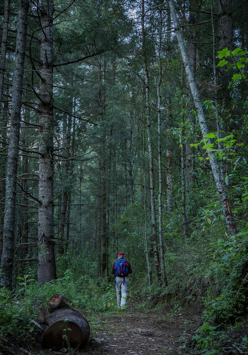 Un vistazo de México. 10