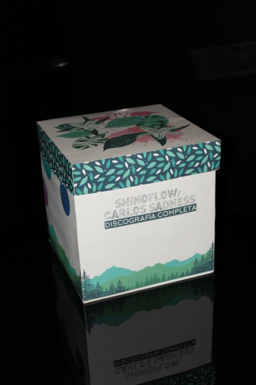 Fan Art Packaging 6