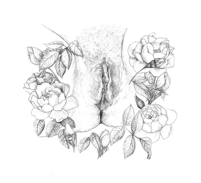 Genitalia Silvam -1