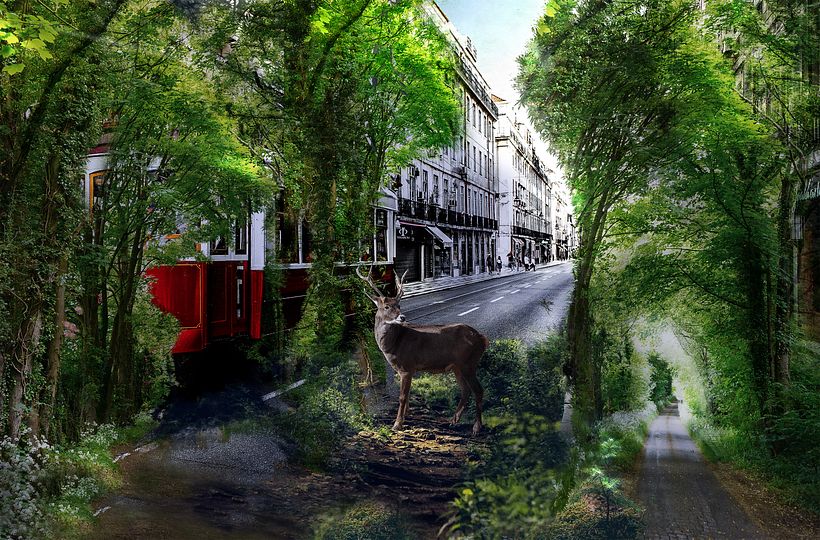 Mi Proyecto del curso: Naturaleza - Desain Grafis