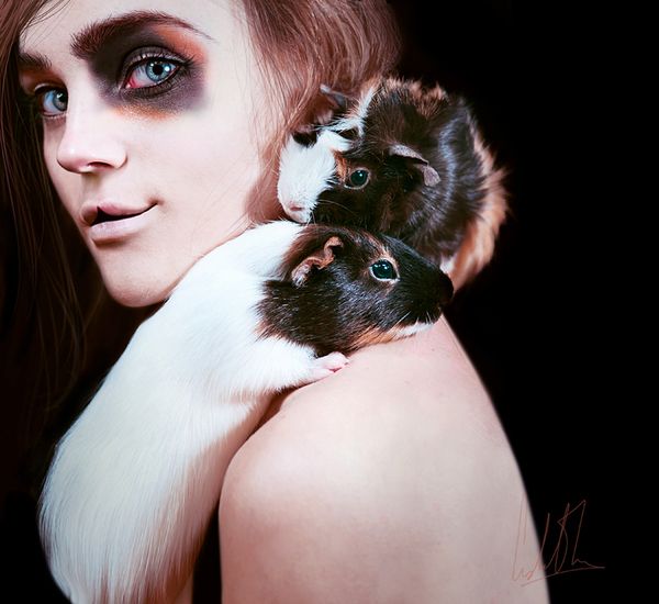 Instinct 1