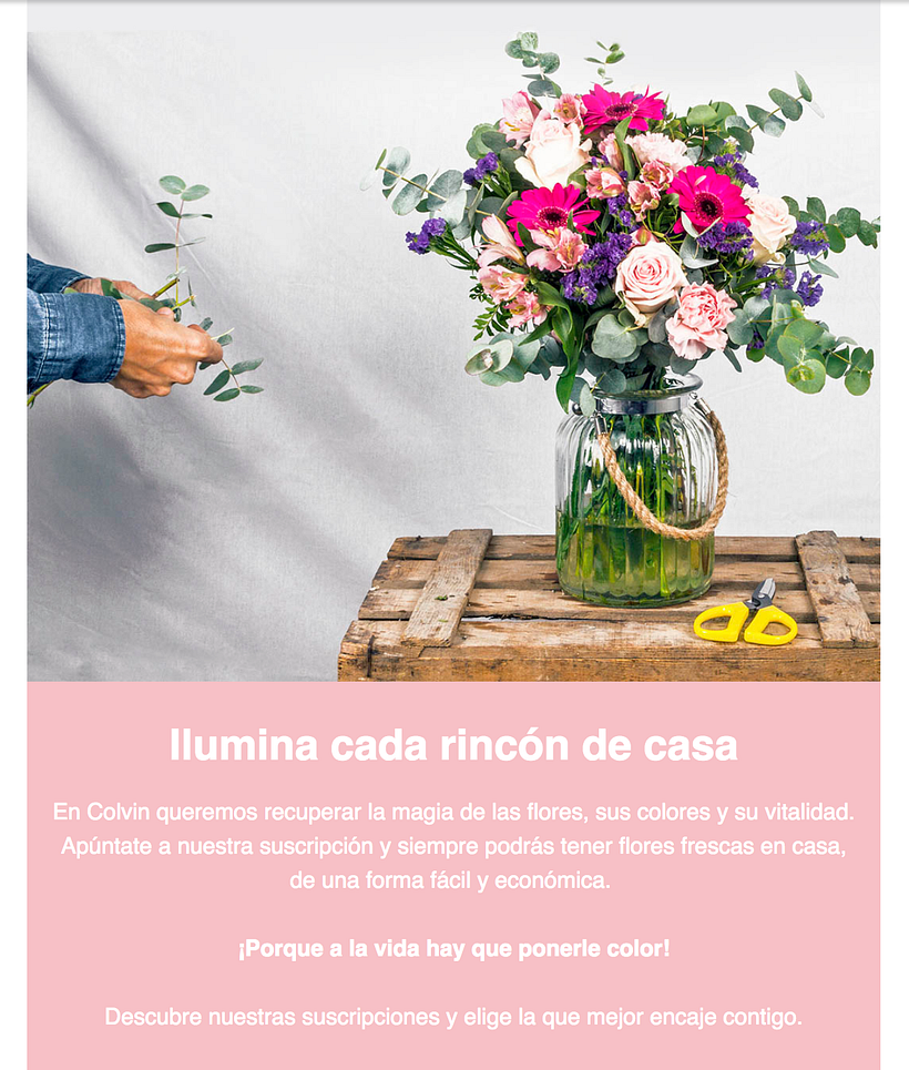 Inocentada_Newsletter 2