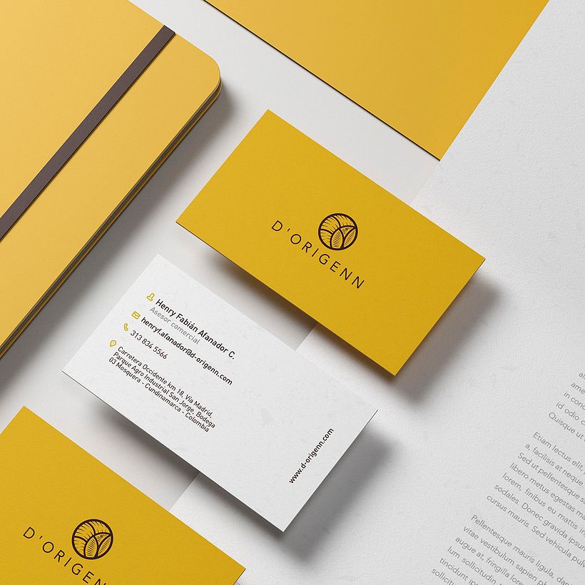 Dorigenn Logo and Identity 5