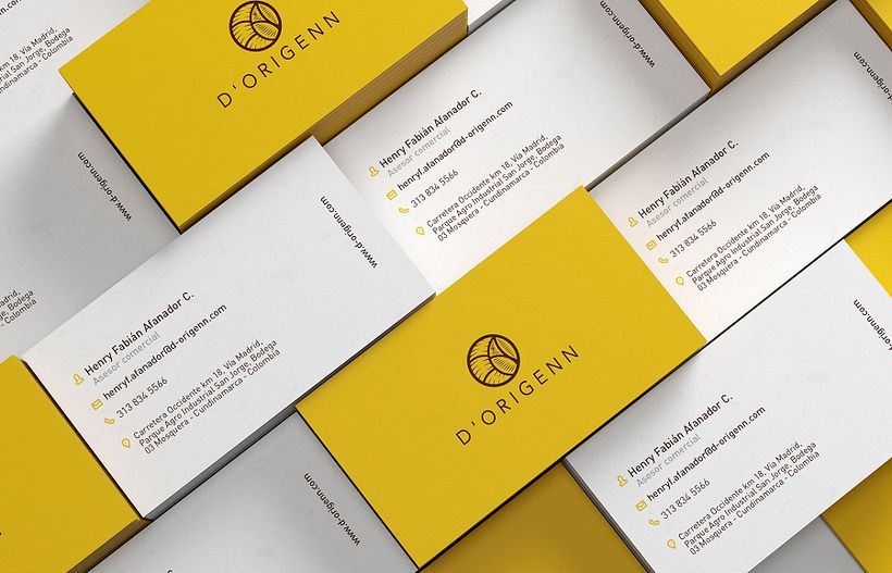 Dorigenn Logo and Identity 6