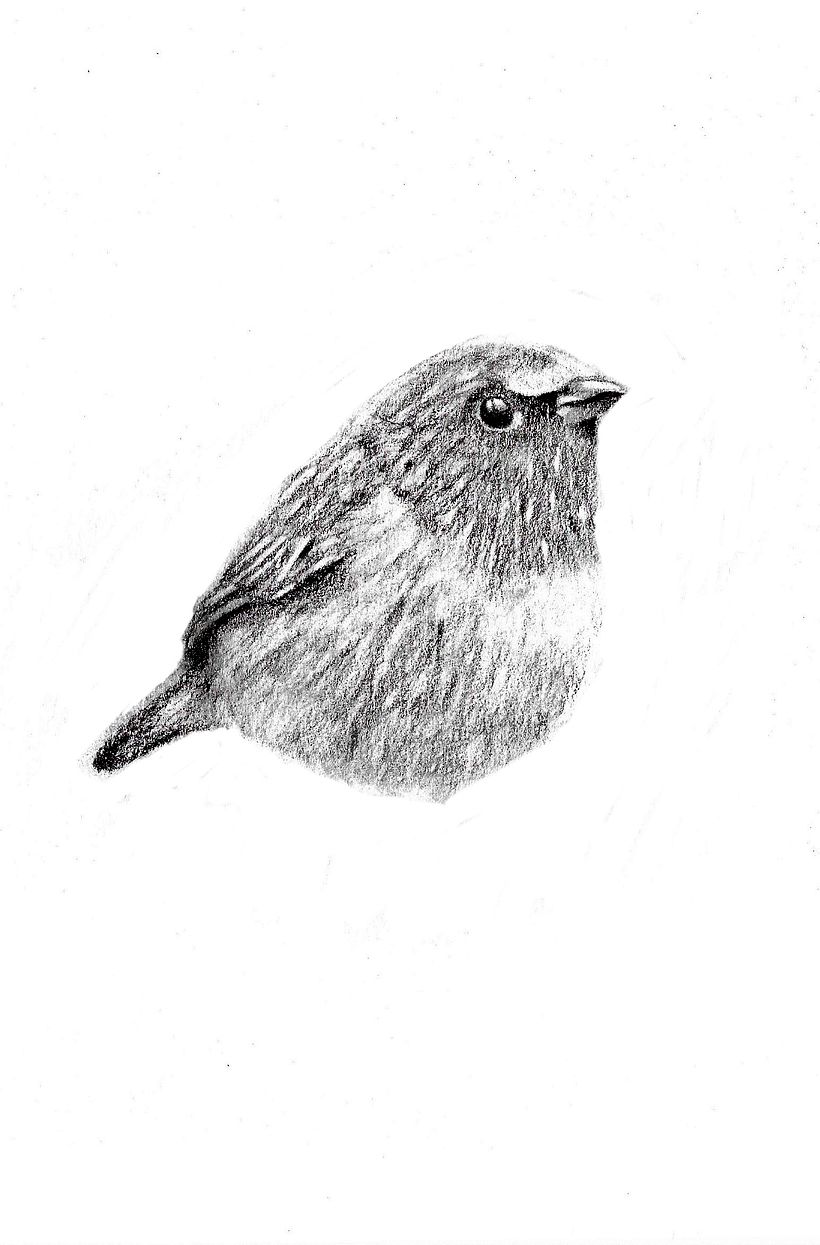 Punto magenta: Retrato ilustrado en acuarela 5