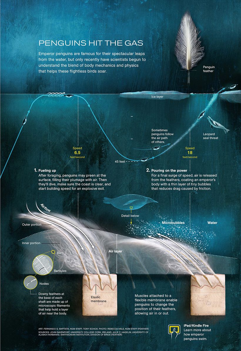 El noble arte de crear infografías históricas al detalle 12