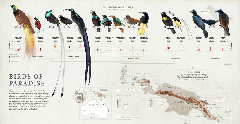 El noble arte de crear infografías históricas al detalle 15