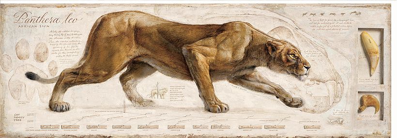 El noble arte de crear infografías históricas al detalle 17