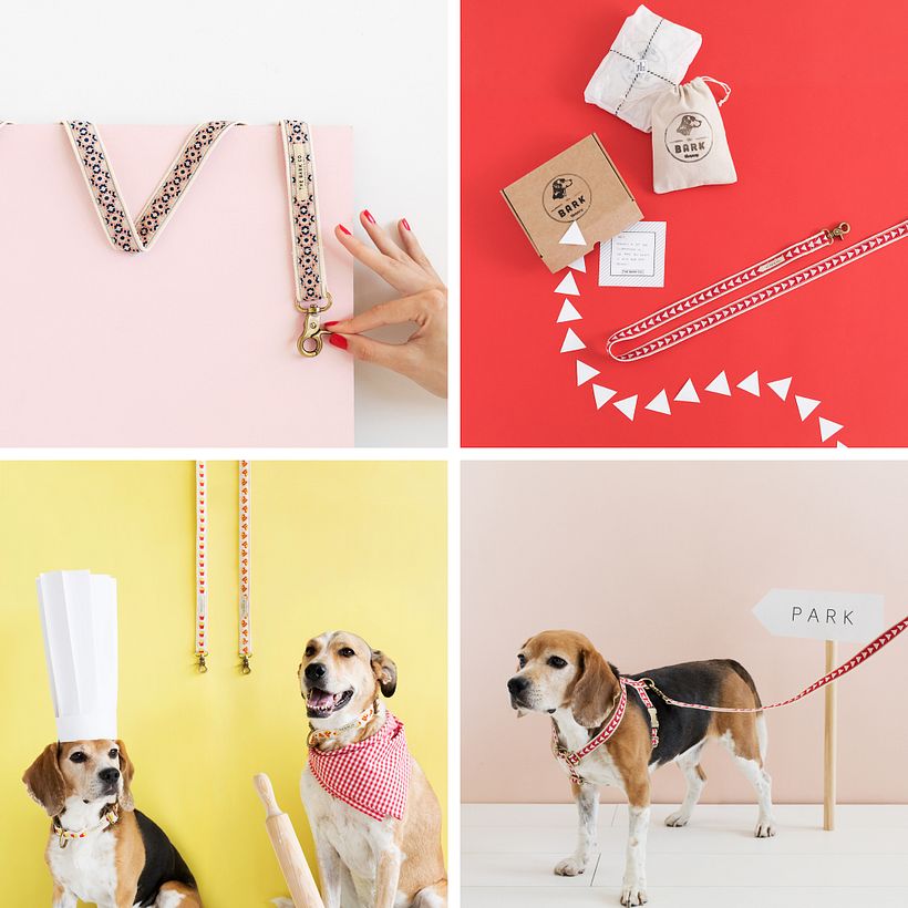 The Bark Co 2