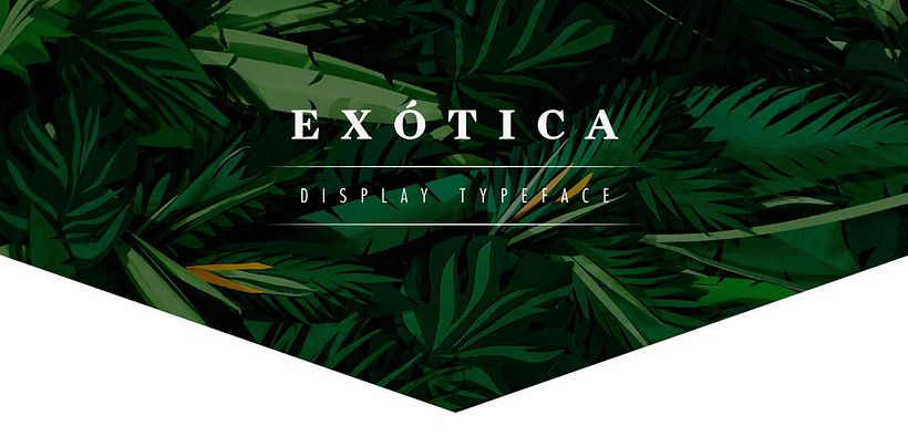 Exótica - Display typeface - Ilustração tradicional