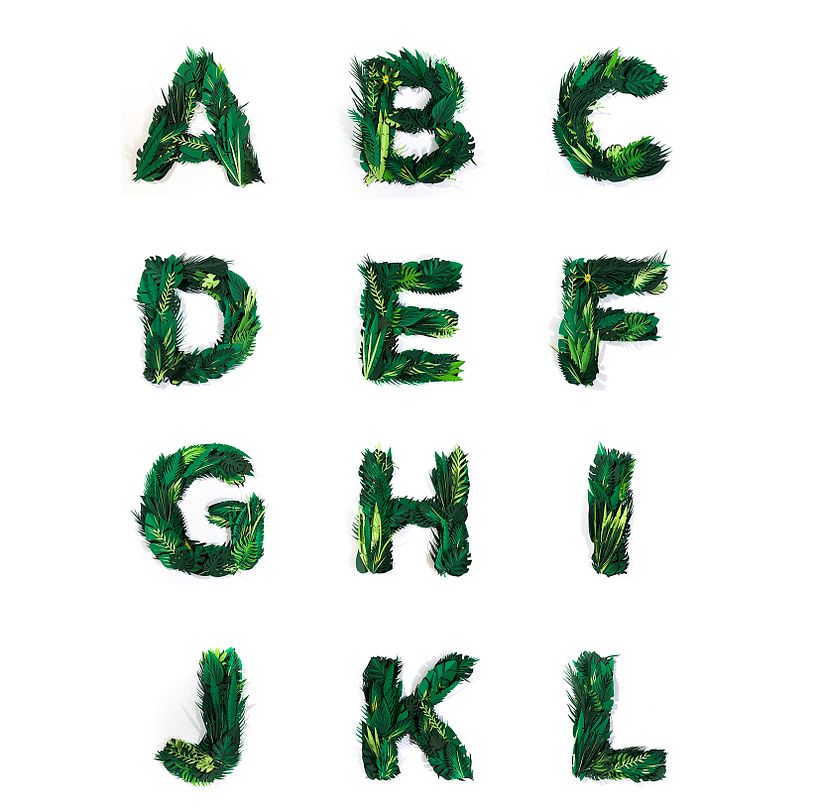 Exótica - Display typeface - Ilustração tradicional