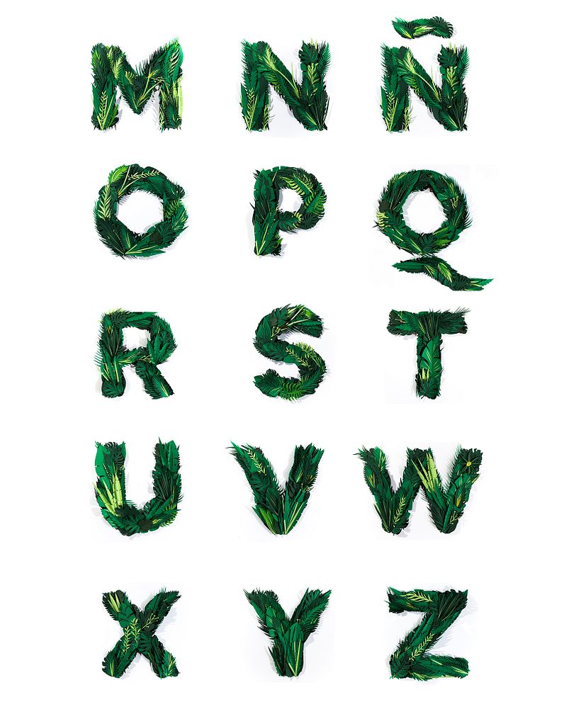 Exótica - Display typeface - Ilustração tradicional