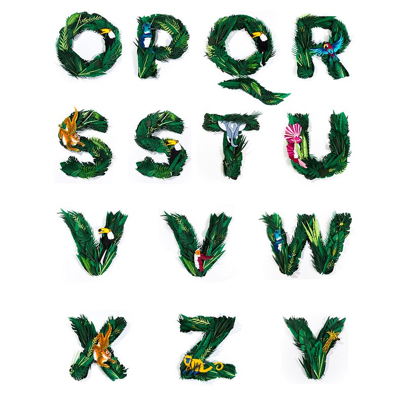 Exótica - Display typeface - Ilustração tradicional