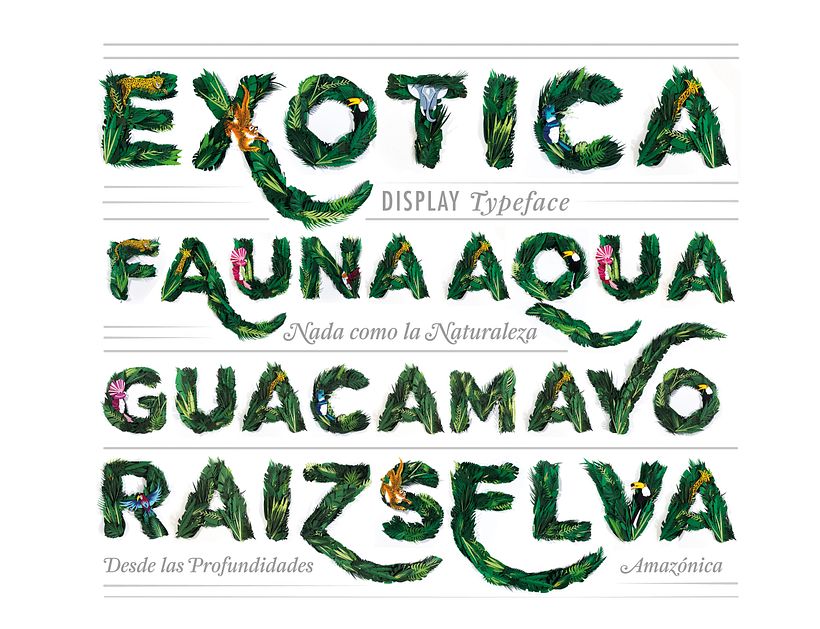 Exótica - Display typeface - Ilustração tradicional