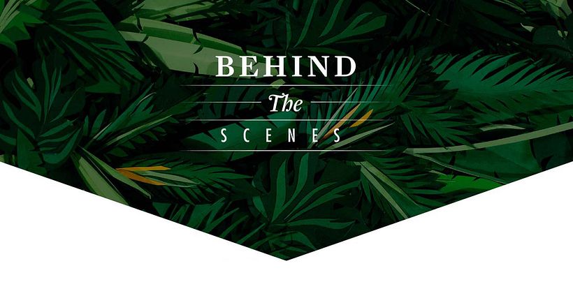 Exótica - Display typeface - Ilustração tradicional