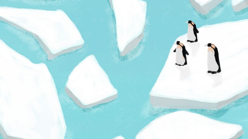 Plastic Soup Foundation 3