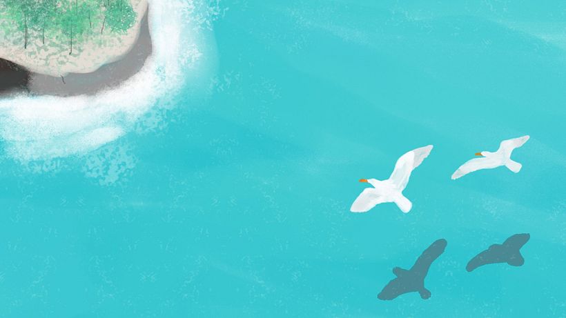 Plastic Soup Foundation 6