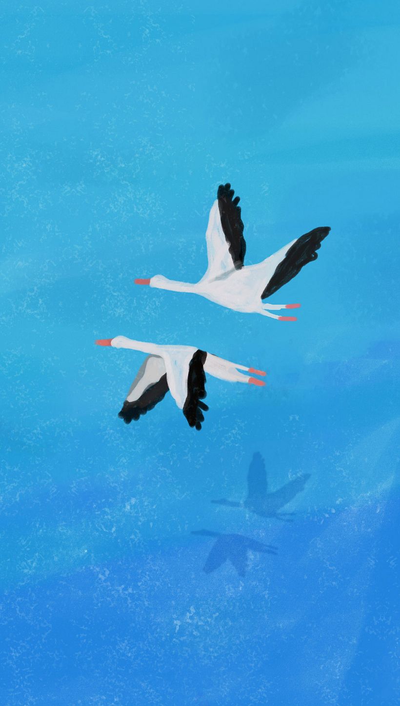 Plastic Soup Foundation 9