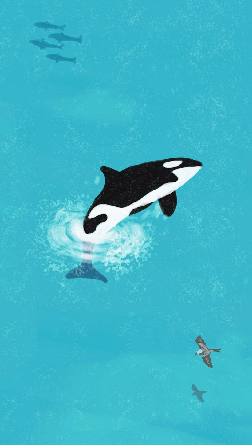 Plastic Soup Foundation 12