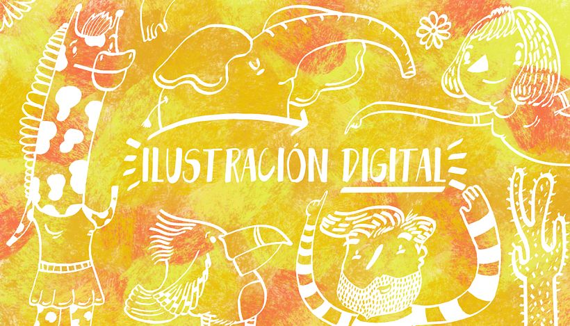 Portafolio 2018 1