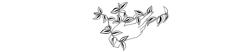 Curious Garden - Asociación Cultural 8