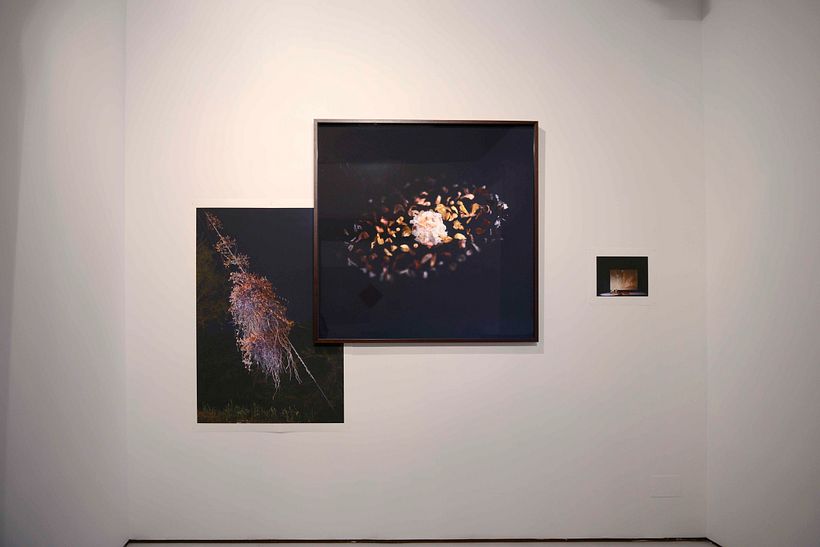 Lo vulnerable I - Proyecto artístico -1