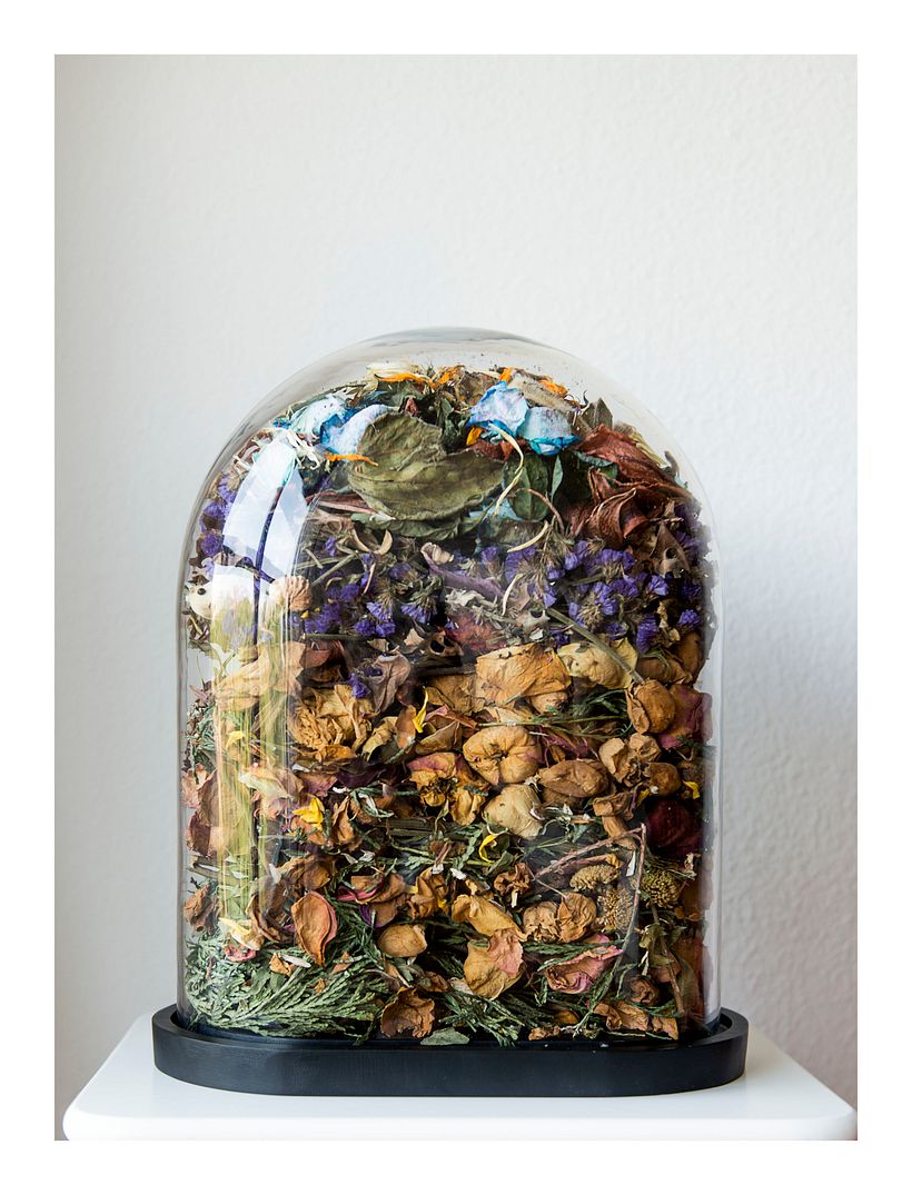 Lo vulnerable I - Proyecto artístico 0