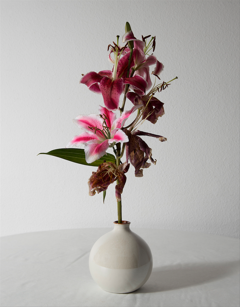 Lo vulnerable I - Proyecto artístico 2