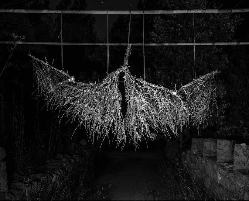 Lo vulnerable I - Proyecto artístico 4