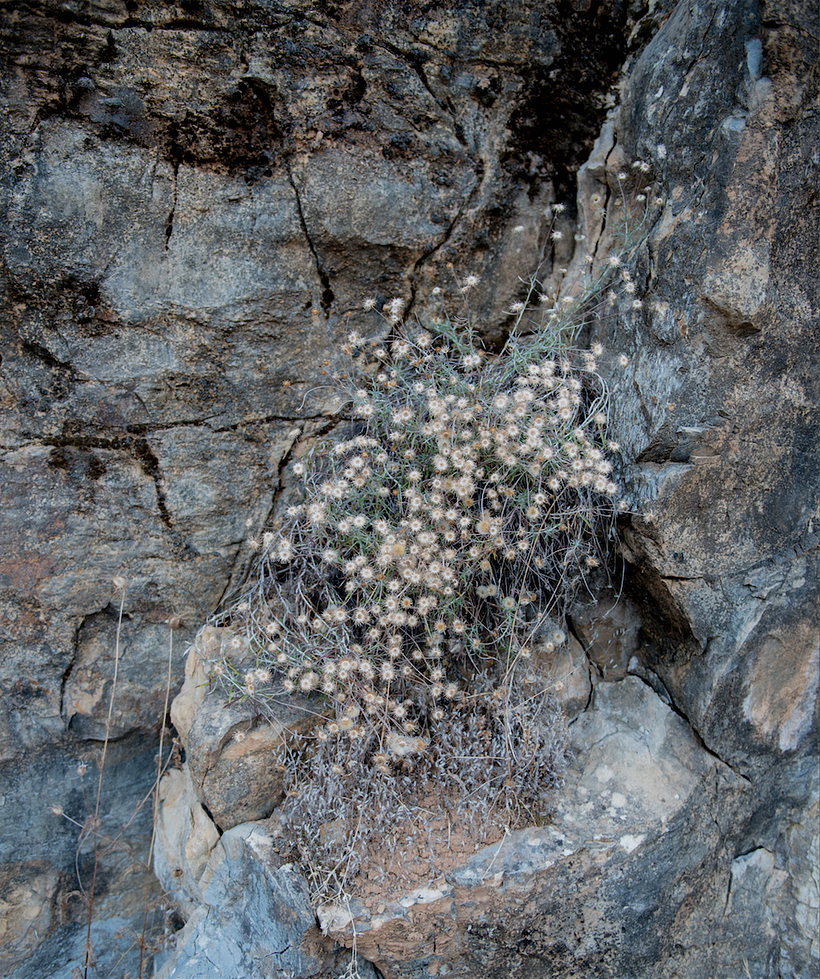 Lo vulnerable I - Proyecto artístico 6