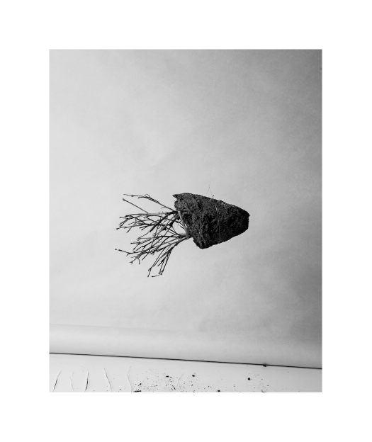 Lo vulnerable I - Proyecto artístico 15