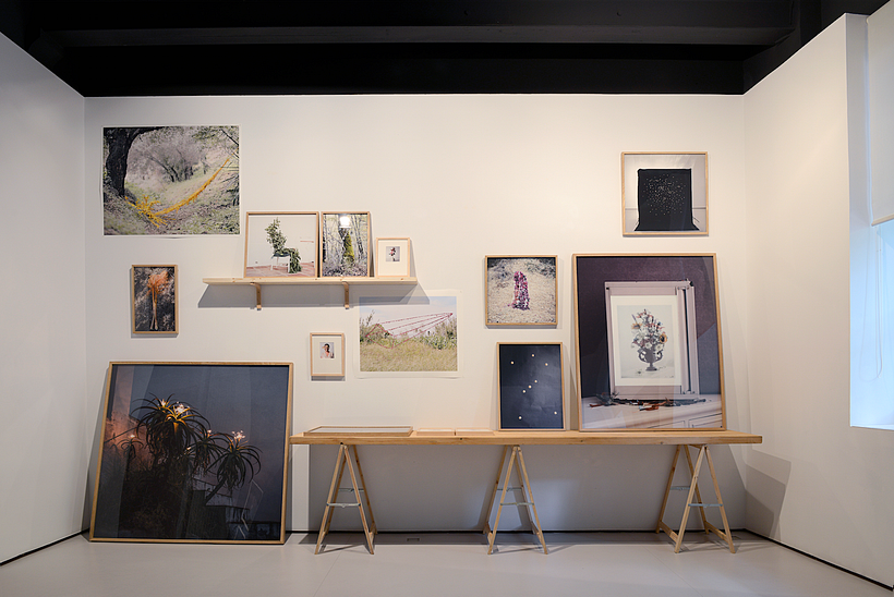 Lo vulnerable I - Proyecto artístico 16