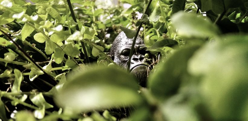 Fotografía de joyería 1