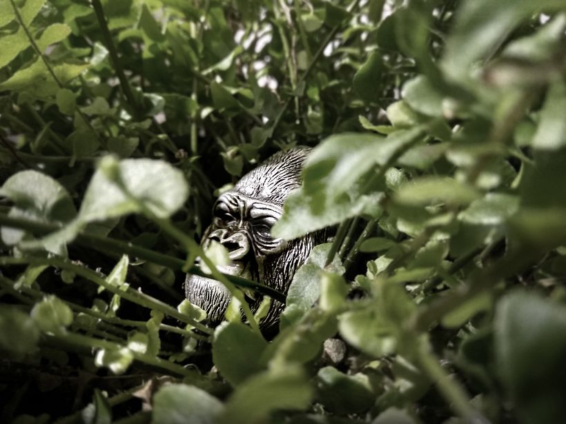 Fotografía de joyería 2