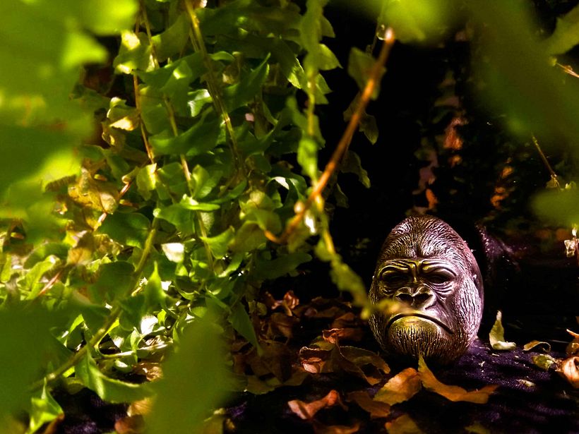 Fotografía de joyería 3