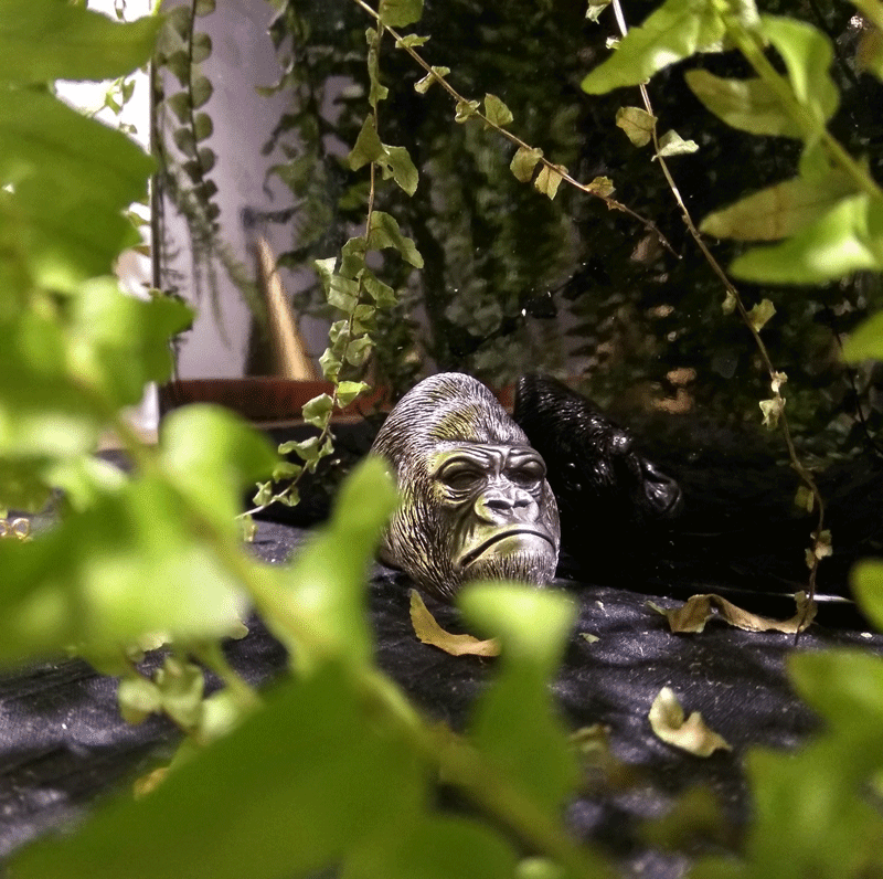 Fotografía de joyería 5