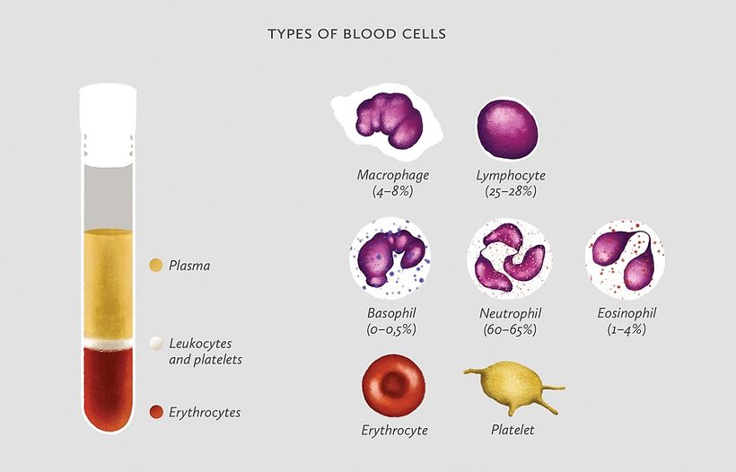 ilustradores realistas? 1