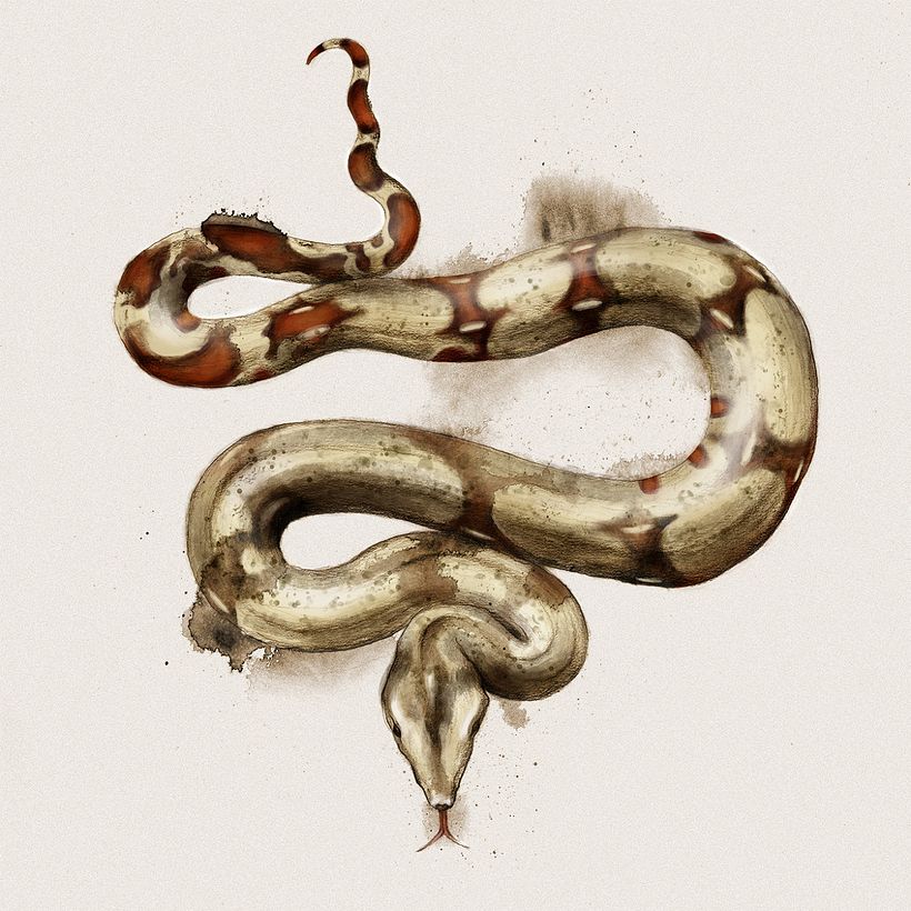 ilustradores realistas? 4