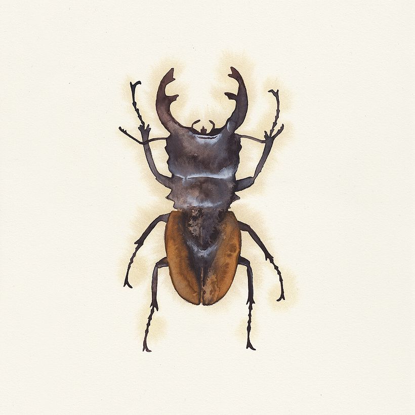 ilustradores realistas? 5