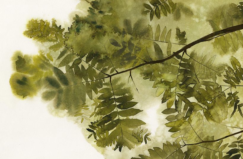 ilustradores realistas? 7