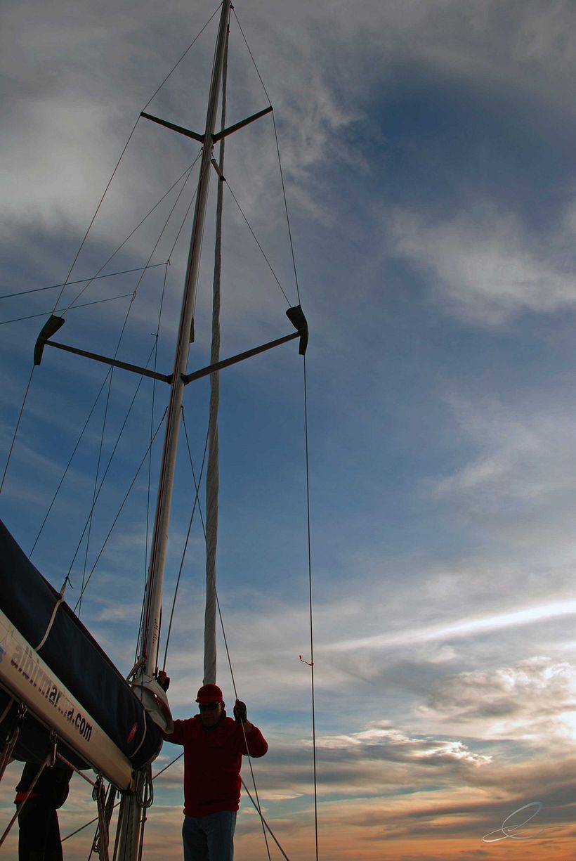 Galería fotográfica_01 1