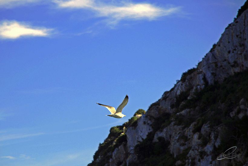 Galería fotográfica_01 2