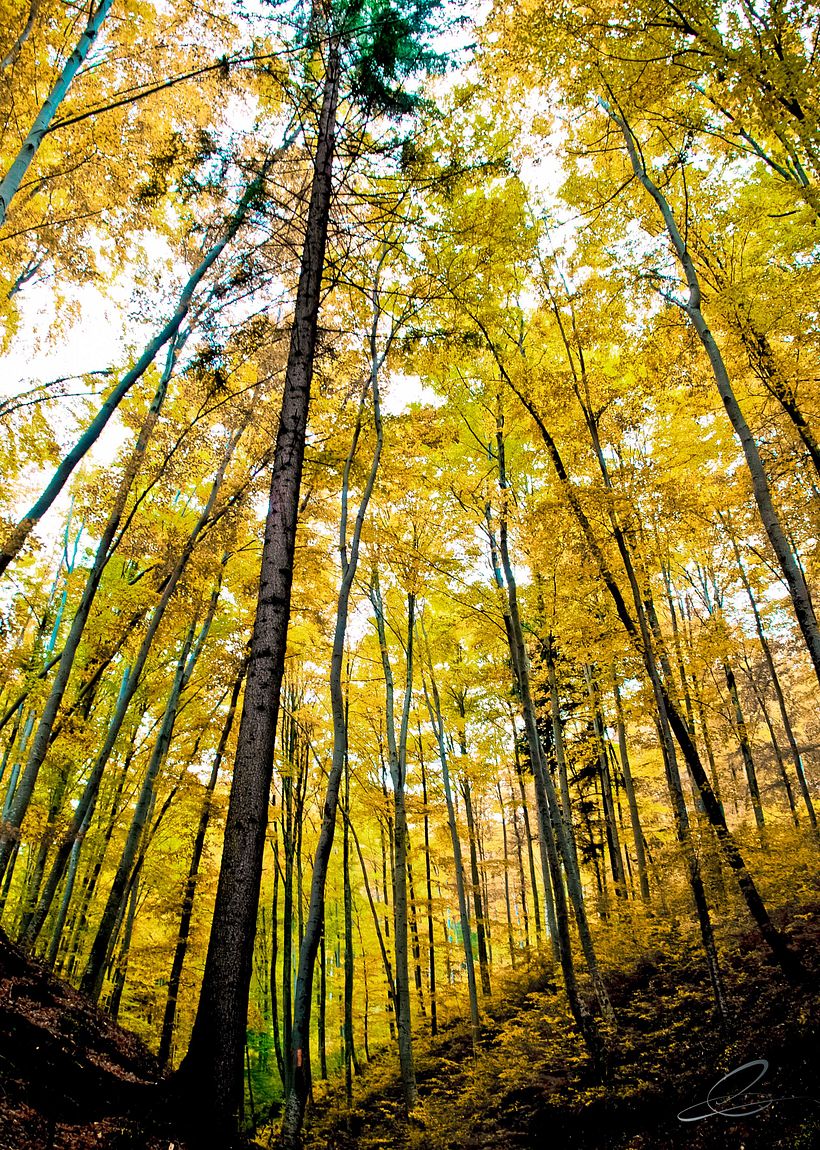 Galería fotográfica_01 8