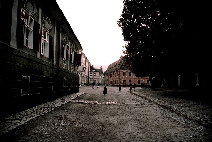 Galería fotográfica_01 11