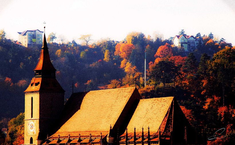 Galería fotográfica_01 12