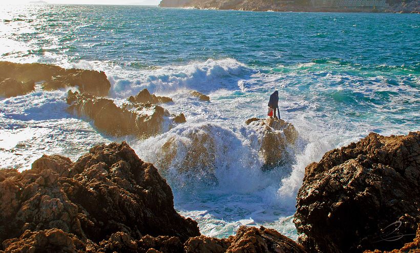 Galería fotográfica_02 3