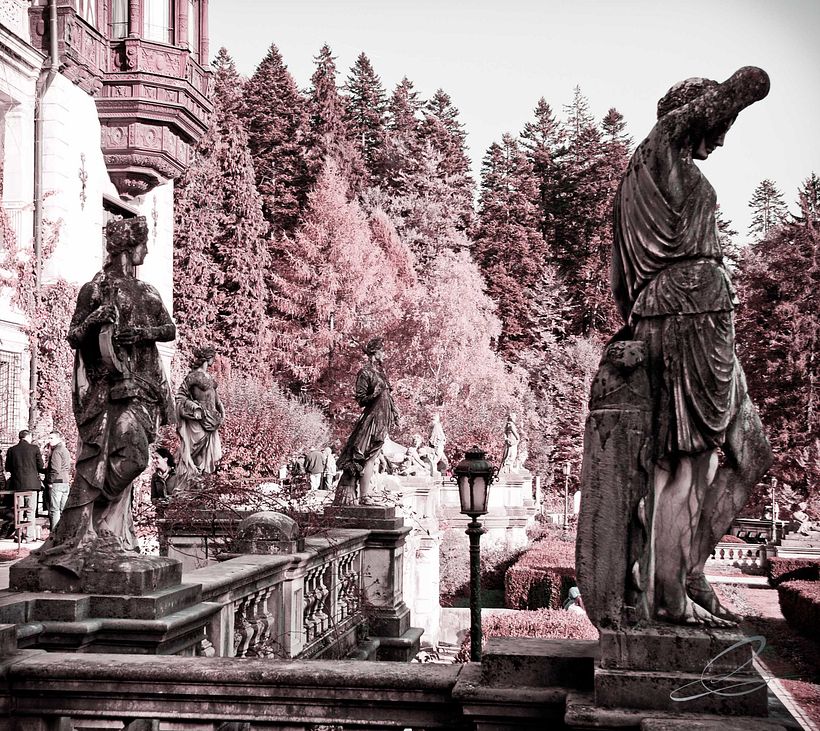 Galería fotográfica_02 7