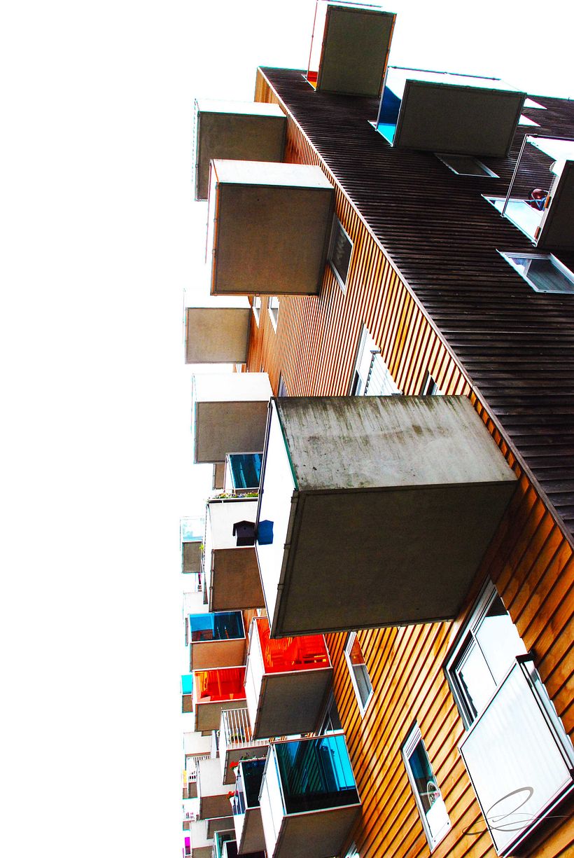 Galería fotográfica_02 13